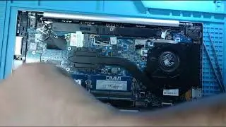 LdTechPro Live Stream