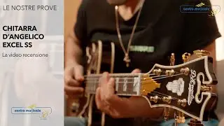 Chitarra elettrica D'Angelico Excel SS