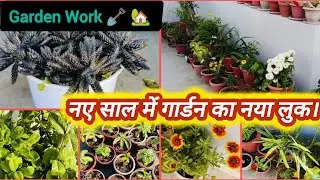 New Garden look for new year.😍//नए साल में गार्डन में नया बदलाव।//Garden work 👍🏻#gardenwork #garden🏡
