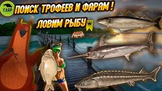 Поиск  трофеев и  фарам ! |🐟 Ловим рыбу | по всем водоЁмам  | Русская рыбалка 4 и RAID SL | #рр4 |