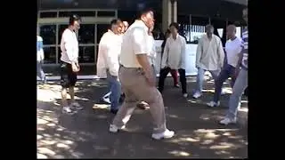 攬雀尾的樁法