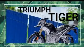 Triumph tiger 900 rally pro|hand made|miniature model