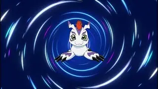 Gomamon - Vikemon Evolution Line!