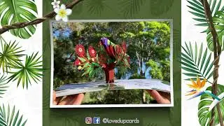 Family Event with Pop Up Cards | LovedUp Cards Australia