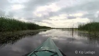 Paddling Sweet Marsh - &copy; Kip Ladage