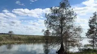 Lake Parker Park