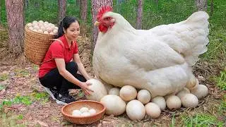 TIMELAPSE - My Dream Small Garden 2026 - Harvesting Apple Fruit, Duck Egg | Pure Harvest Life