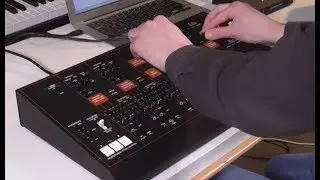 ARP Odyssey by KORG: Duophonic Synthesiser Module (KORGANTUAN )