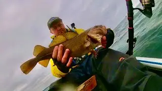 Firth Of Forth Kayak Fishing 06/2023 🎣🤘🏻