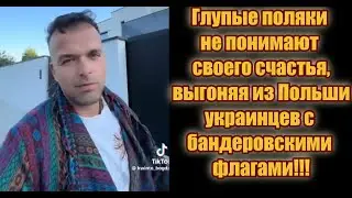 Украинцы выживаются из Польши