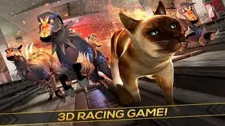 🐈👍Oh My Cat! - Subway Race - By Free Wild Simulator Games Strategy - iOS/Android