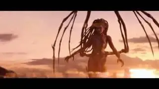 Starcraft 2-Queen's feelings