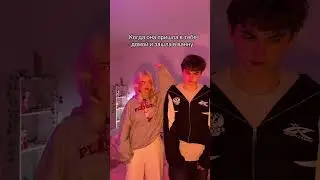 В тгк все самое интересное - Хомячий уголок🐹 #хомяк083 #хомячийуголок🐹