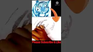 Draw a Tiger | Tiger Sketch | Fun Art With Akash
