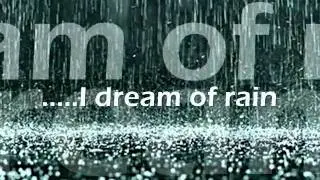 sting desert rose lyrics