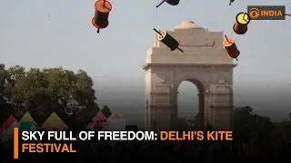 Sky full of freedom: Delhi's kite festival | DD India