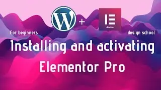 [OLD METHOD]Installing and Activating Elementor Pro