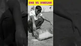 eno or  vinegar mix | #experiment #facts #shorts