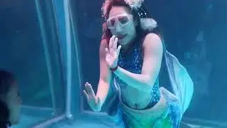 MERMAIDS 🧜‍♀️ ll Fun with Mermaids🧜‍♀️ ll lovely Mermaids ll🧜‍♀️