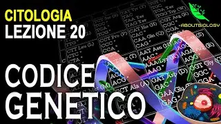 Funzionamento delle Informazioni Biologiche e Codice Genetico (Pt.1) -Citologia Lezione 20