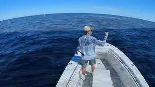 Fishing at the Regal Sword off Cap Cod, MA - September 4th, 2022