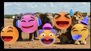 Animal Sounds Song: Learn Animal Sounds for Kids by Good Kids Company