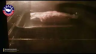 American Food Tech Group Thermoforming Machine- Oven Film Demo