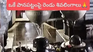 కాళేశ్వర ముక్తేశ్వర దేవస్థానం కాళేశ్వరం #devotional #bakthi #travel #sanatana #telanganatemples 