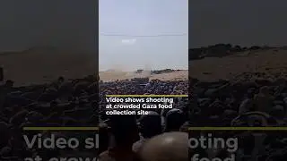 Video shows shooting at crowded Gaza food collection site