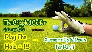 Awesome Up & Down For Par! ⛳️ #positivepars #powerpars #pickmeuppars #golf #golfshot #upanddown 