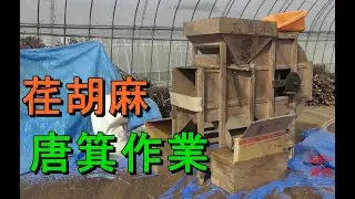 【えごま】唐箕作業