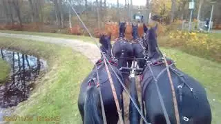 Rondleiding menroute Gaasterlandse bos