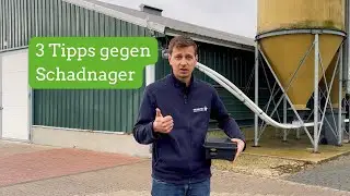 Tipps f&uuml;r die Sch&auml;dlingsbek&auml;mpfung im Herbst