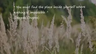 Relaxing music| Meditation music| Happy mind Happy body|