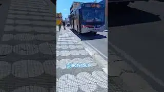 Caio apache vip II, Att, Mogi 🚍