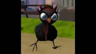ANIMAL COMPANY(turkey sounds)