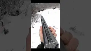 Hunting Big moose At snow so close #hunting #chasse #moose #deer