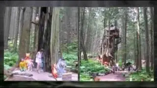 Shuswap Story and Salmon Arm