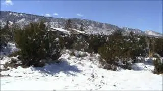 Pinon Hills Snow video Feb 2011