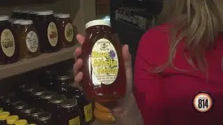 Discover Local Flavor at Way Fruit Farm: Honey, Maple Syrup, Cheeses & More | Studio 814