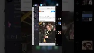 Apollo Bug