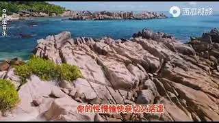 《燕子》阎维文 (哈族民歌)