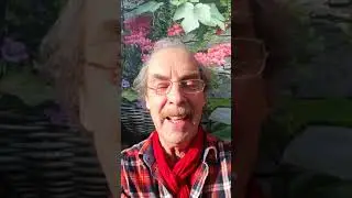 Gait verklaard, kattenpension