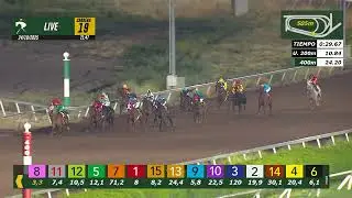 Carrera 19   Jornada 24-10-2025