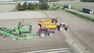Aardappelrooien met de AVR Spirit 8200