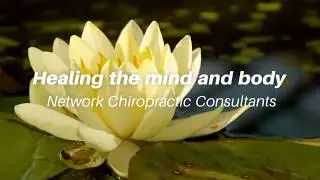 Healing the Mind and Body: Network Chiropractic Consultants