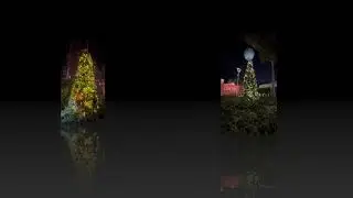 Disney Springs Christmas tree stroll