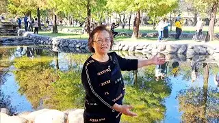 欣美創意園區   日月谭落羽松