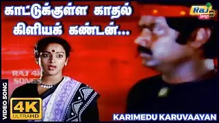 காட்டுக்குள்ள காதல் கிளியக் கண்டேன்&hellip;..| Vijayakanth | Nalini | Ilaiyaraaja | Raj 4K Songs