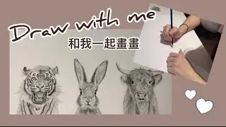Draw with Me 和我一起畫畫 | Practice Drawing Animals (tiger, rabbit, ox) 練習畫動物（老虎,兔子,牛）